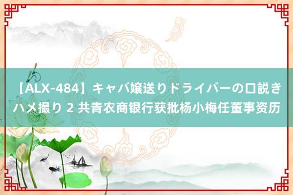 【ALX-484】キャバ嬢送りドライバーの口説きハメ撮り 2 共青农商银行获批杨小梅任董事资历