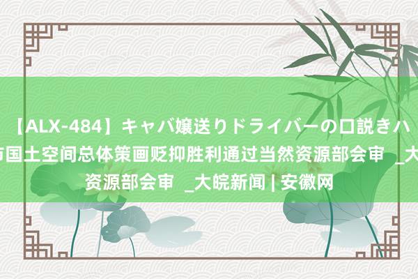 【ALX-484】キャバ嬢送りドライバーの口説きハメ撮り 2 合肥市国土空间总体策画贬抑胜利通过当然资源部会审  _大皖新闻 | 安徽网