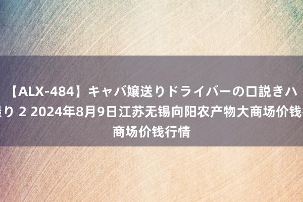 【ALX-484】キャバ嬢送りドライバーの口説きハメ撮り 2 2024年8月9日江苏无锡向阳农产物大商场价钱行情