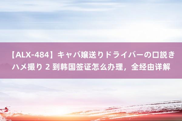 【ALX-484】キャバ嬢送りドライバーの口説きハメ撮り 2 到韩国签证怎么办理，全经由详解