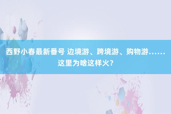 西野小春最新番号 边境游、跨境游、购物游……这里为啥这样火？