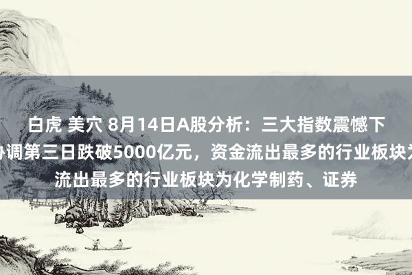 白虎 美穴 8月14日A股分析：三大指数震憾下挫，两市成交额协调第三日跌破5000亿元，资金流出最多的行业板块为化学制药、证券