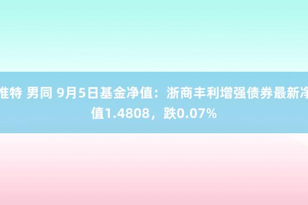 推特 男同 9月5日基金净值：浙商丰利增强债券最新净值1.4808，跌0.07%