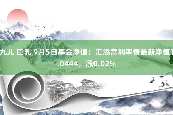 九儿 巨乳 9月5日基金净值：汇添富利率债最新净值1.0444，涨0.02%