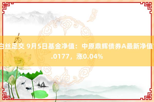 白丝足交 9月5日基金净值：中原鼎辉债券A最新净值1.0177，涨0.04%