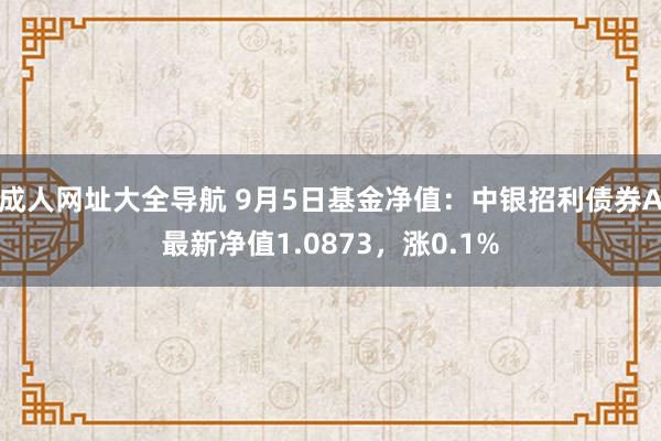 成人网址大全导航 9月5日基金净值：中银招利债券A最新净值1.0873，涨0.1%