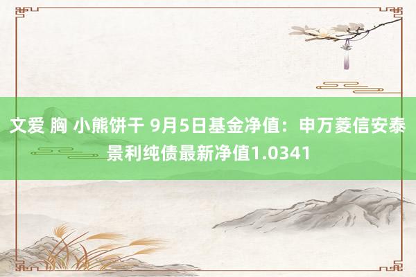 文爱 胸 小熊饼干 9月5日基金净值：申万菱信安泰景利纯债最新净值1.0341