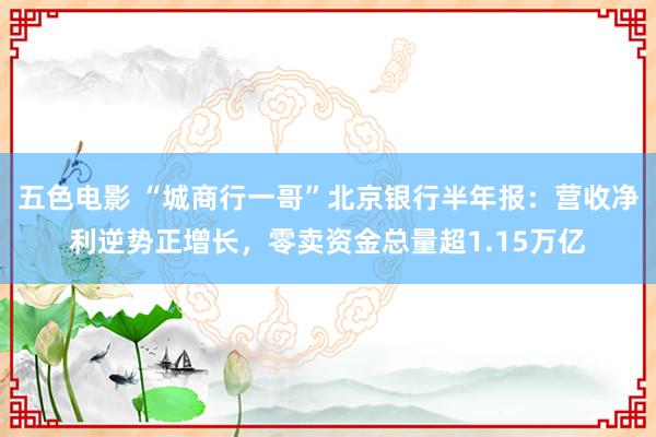 五色电影 “城商行一哥”北京银行半年报：营收净利逆势正增长，零卖资金总量超1.15万亿