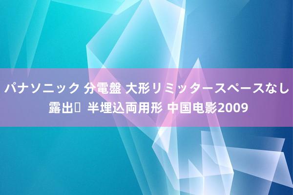 パナソニック 分電盤 大形リミッタースペースなし 露出・半埋込両用形 中国电影2009