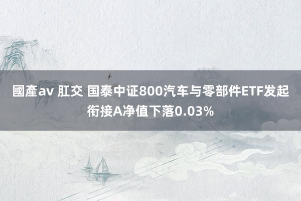 國產av 肛交 国泰中证800汽车与零部件ETF发起衔接A净值下落0.03%