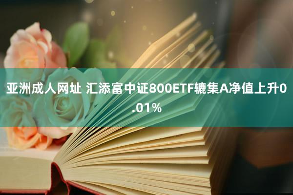 亚洲成人网址 汇添富中证800ETF辘集A净值上升0.01%